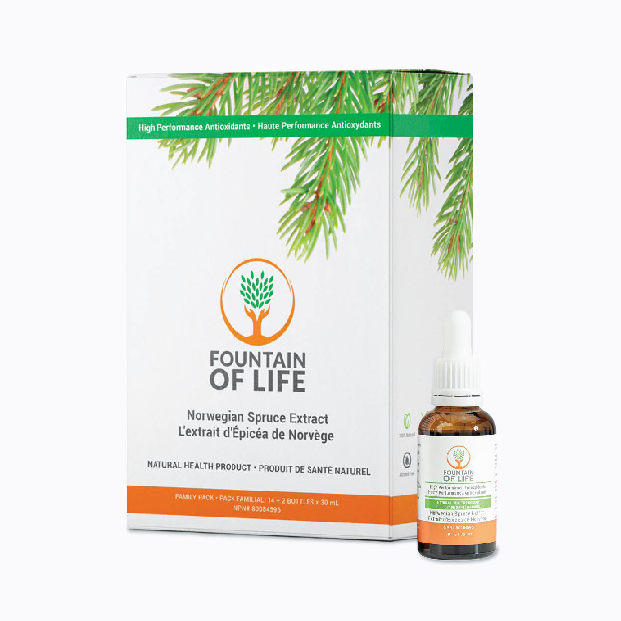 Fountain of Life - Family Pack