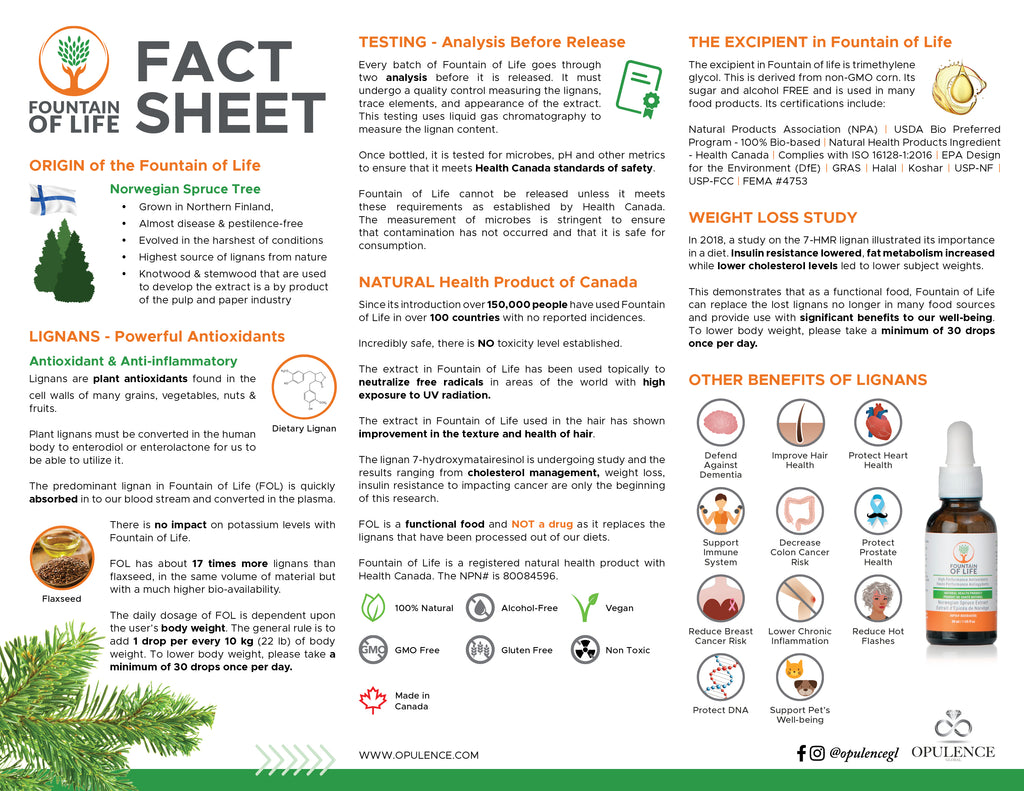 Fountain of Life - Family Pack