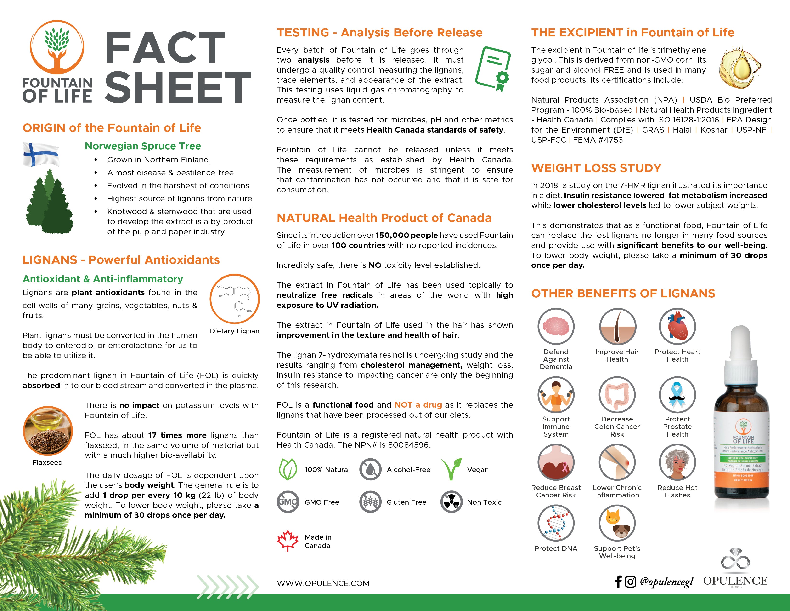 Fountain of Life - Family Pack