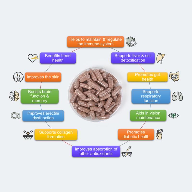 Divine Supplement - 6 Bottles