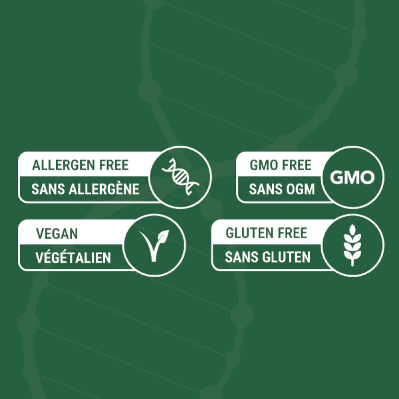 Divine Supplement - 6 Bottles